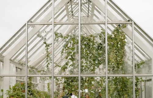 membangun greenhouse