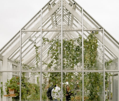 membangun greenhouse